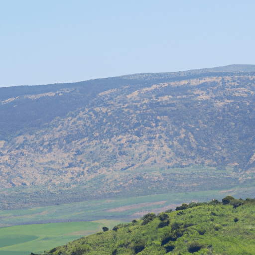 תמונה כובשת של רמת הגולן עם גבעות ירוקות מתגלגלות תחת שמיים כחולים עזים.